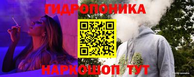 индика Первоуральск