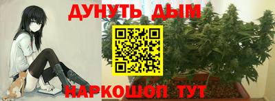 индика Первоуральск