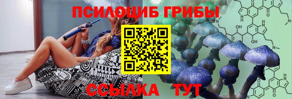 Галлюциногенные грибы Psilocybine cubensis Саянск